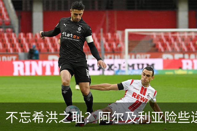 不忘希洪之耻？阿尔及利亚险些送奥地利回家 他们已做到极致