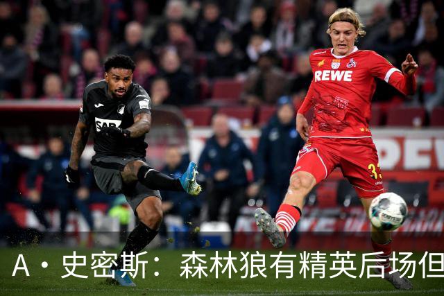 A·史密斯：森林狼有精英后场但体型变小 难应对雷霆马刺火箭掘金